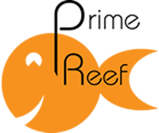 primereef.com.hk